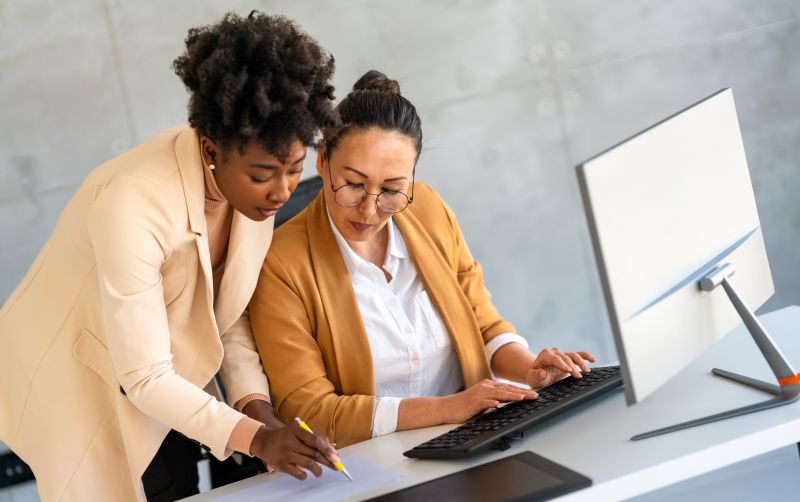 Mouse Inspection And Extermination