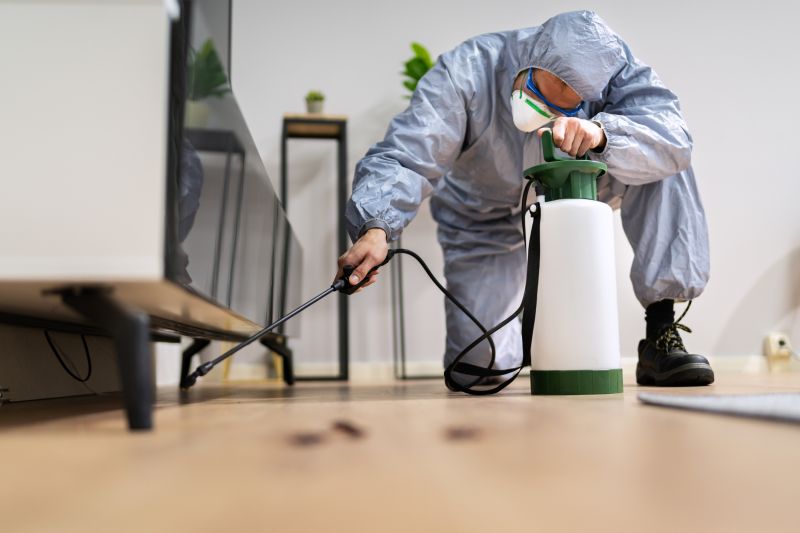 Fumigation Service in Bellingham, WA